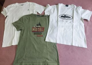 Lote 3 Camisetas Blancas y Verde Oliva