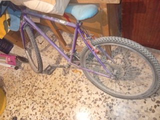 Bicicleta de Montaña Morada