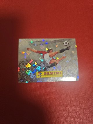 Cromo Panini Mundial 00