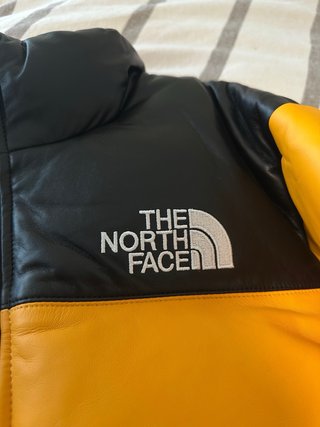 Supreme The North Face Nuptse Leather Jacket FW17