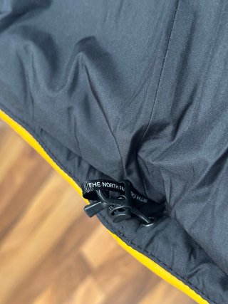 Supreme The North Face Nuptse Leather Jacket FW17