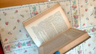 Libro Sangue freddo