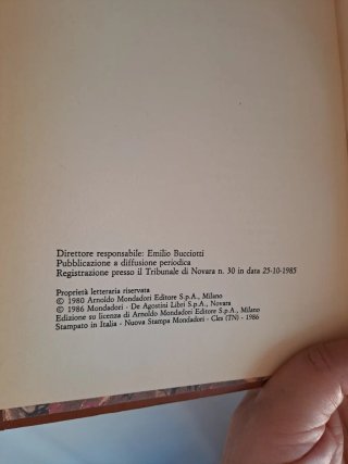 Libro di G. Bassani Il giardino dei Finzi-Contini