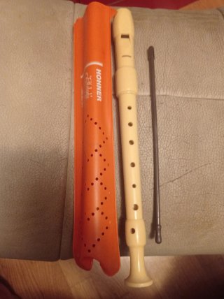 Flauta HOHNER con funda y accesorio