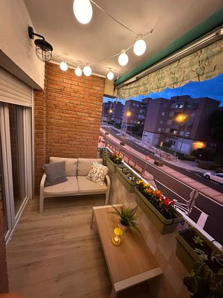 Diseño jardines y terrazas | Informes arbolado