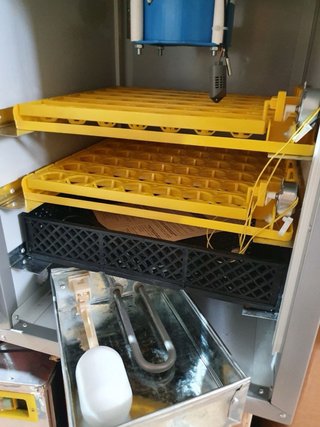 Incubadora Automática