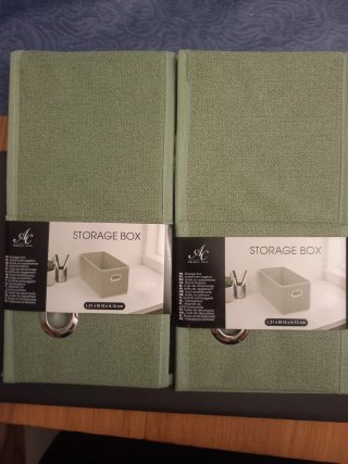 2 Cajas de Ordenar Absolu Chic Verdes