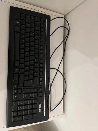 Monitor Samsung S24D330 Teclado Asus Ratón Hp