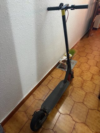 Patinete Eléctrico Xiaomi Pro 2