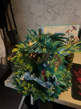 LIBROS-POP-UP LA SELVA