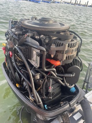Barco de 6 metros con motor 115cv
