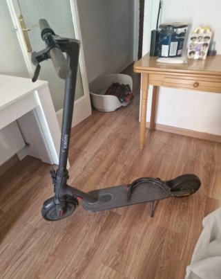 Patinete Eléctrico Xiaomi