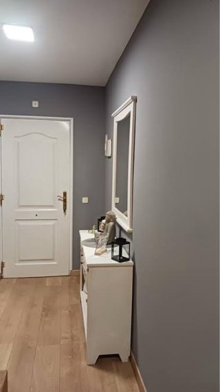 Pintura, Masilla y Papel Pintado