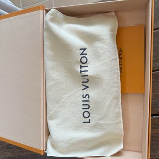 Bolso Louis Vuitton Gris