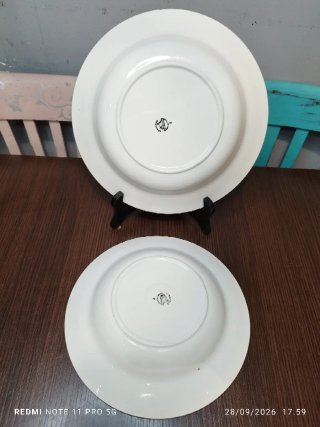 2 Platos Porcelana Francesa Antiguos Gallo