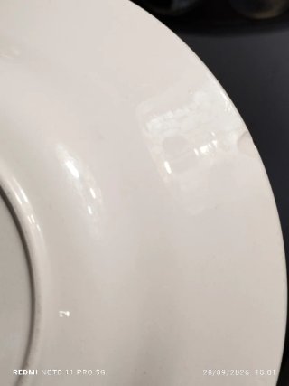 2 Platos Porcelana Francesa Antiguos Gallo
