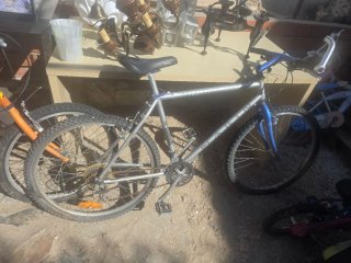 Lote de bicicletas infantiles y adultos