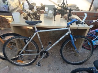 Lote de bicicletas infantiles y adultos