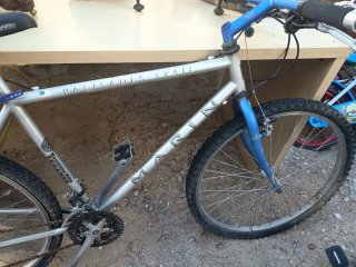 Lote de bicicletas infantiles y adultos