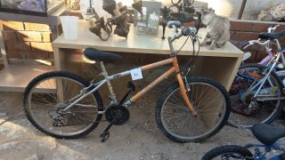 Lote de bicicletas infantiles y adultos