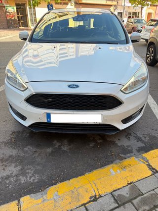 Ford Focus 1.6 TDCi 115 CV Trend