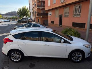 Ford Focus 1.6 TDCi 115 CV Trend