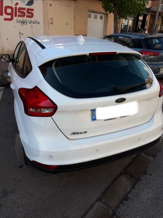 Ford Focus 1.6 TDCi 115 CV Trend
