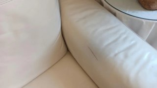 Sofá Natuzzi Beige de 2 Metros.