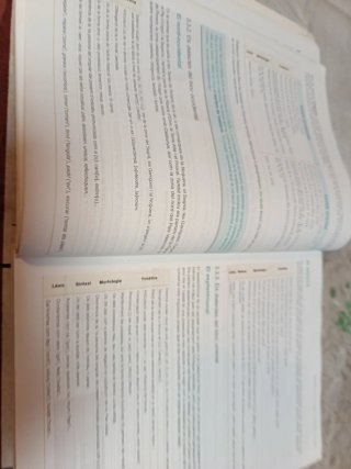 Lengua catalana i literatura 1 - 2 batxillerat