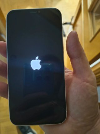 iPhone 12 Rosa