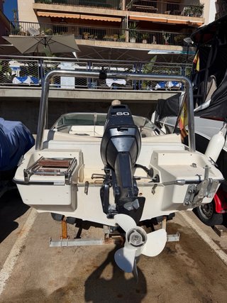 Barco con remolque (se vende sin motor)
