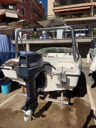 Barco con remolque (se vende sin motor)