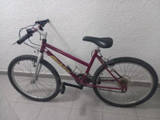 Bicicleta de Montaña Roja