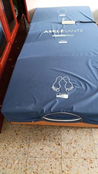 Cama Articulada Eléctrica Asklésanté