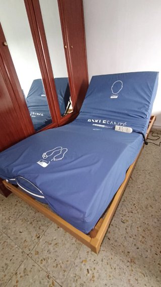 Cama Articulada Eléctrica Asklésanté