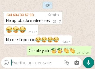 Profesor de Matemáticas, Física y Química