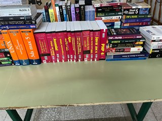 Lote 14 libros Access, Visual Basic y VBA