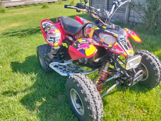 Quad Polaris Predator 500