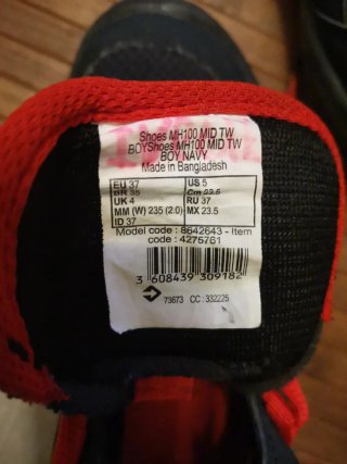 Botas de Montaña Quechua MH100