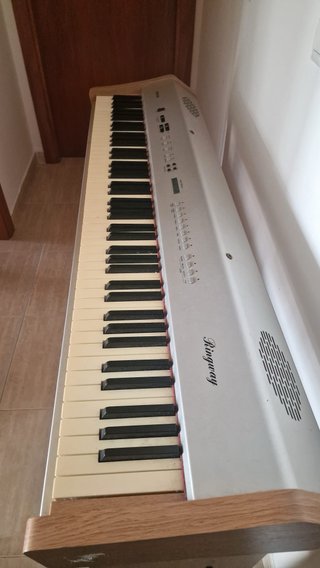 Piano Digital Ringway con Pedal