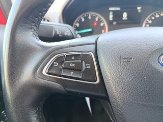 CUOTA 220€ - Ford EcoSport 2019 EcoBoost Titanium
