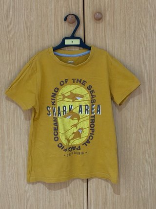 Lote de 6 camisetas manga corta