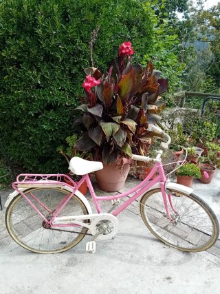 Bicicleta de Paseo Vintage Rosa