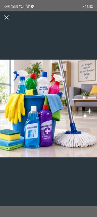 Servicio Profesional de Limpieza de Casas y Pisos