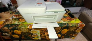Stampante HP Deskjet 4122e Wifi