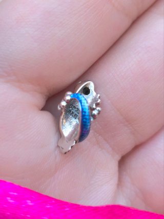 CHARM GECO