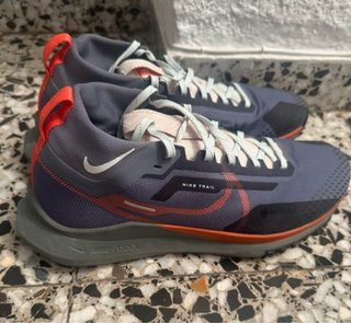 Zapatillas Nike Trail Pegasus Gore-Tex
