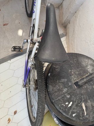 Bicicleta Orbea de Montaña