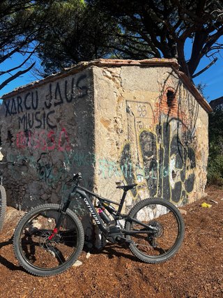 Specialized Turbo Levo