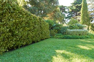 JARDINERO